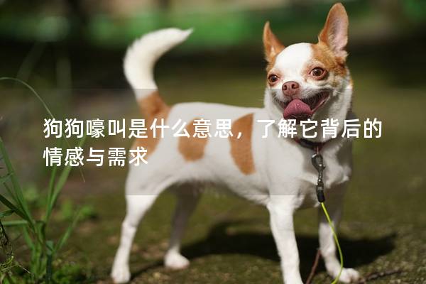 狗狗嚎叫是什么意思，了解它背后的情感与需求