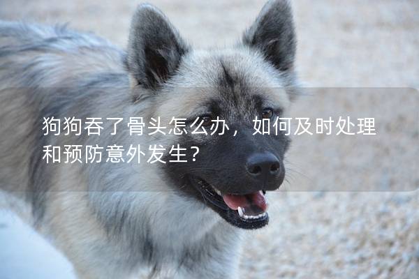 狗狗吞了骨头怎么办，如何及时处理和预防意外发生？