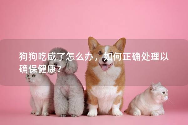 狗狗吃咸了怎么办，如何正确处理以确保健康？
