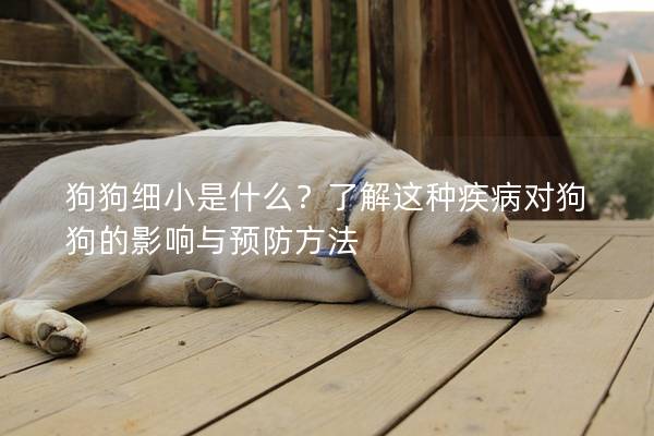 狗狗细小是什么？了解这种疾病对狗狗的影响与预防方法