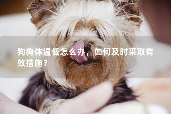 狗狗体温低怎么办，如何及时采取有效措施？