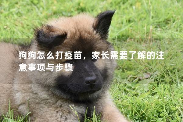 狗狗怎么打疫苗，家长需要了解的注意事项与步骤