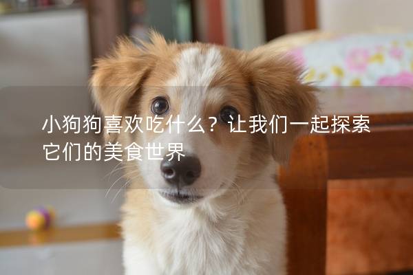 小狗狗喜欢吃什么？让我们一起探索它们的美食世界