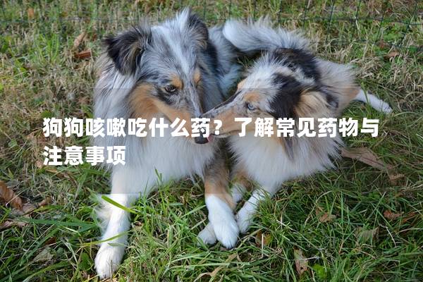 狗狗咳嗽吃什么药?了解常见药物与注意事项 狗狗咳嗽吃什么药?了解常见药物与注意事项