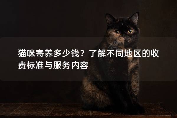 猫咪寄养多少钱？了解不同地区的收费标准与服务内容