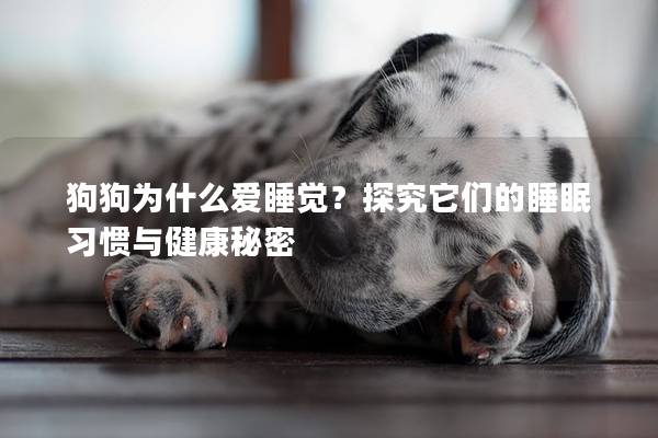 狗狗为什么爱睡觉？探究它们的睡眠习惯与健康秘密