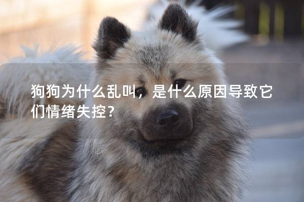 狗狗为什么乱叫，是什么原因导致它们情绪失控？