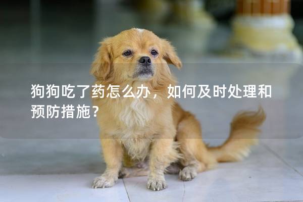 狗狗吃了药怎么办，如何及时处理和预防措施？