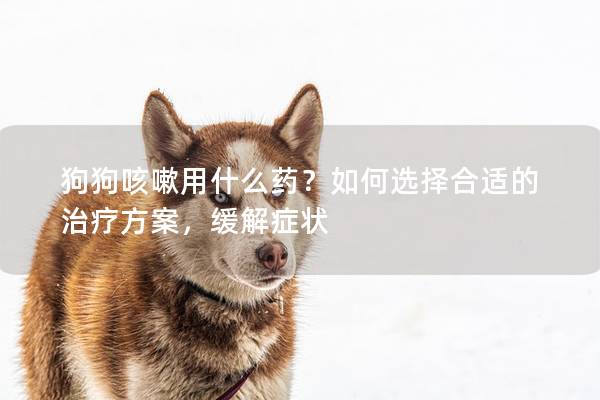 狗狗咳嗽用什么药？如何选择合适的治疗方案，缓解症状