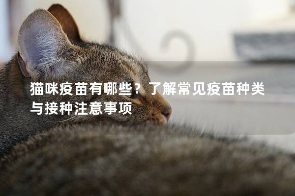 猫咪疫苗有哪些？了解常见疫苗种类与接种注意事项