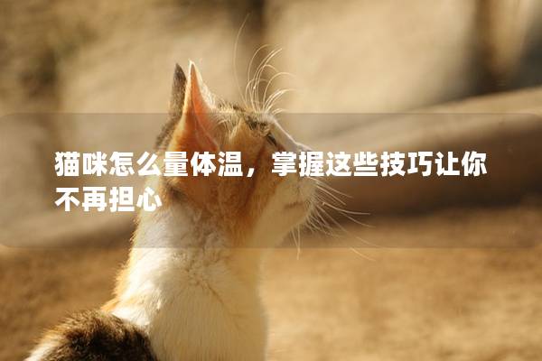 猫咪怎么量体温，掌握这些技巧让你不再担心