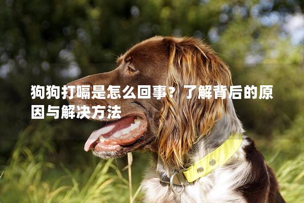 狗狗打嗝是怎么回事?了解背后的原因与解决方法 狗狗打嗝是怎么回事?了解背后的原因与解决方法