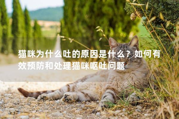 猫咪为什么吐的原因是什么？如何有效预防和处理猫咪呕吐问题
