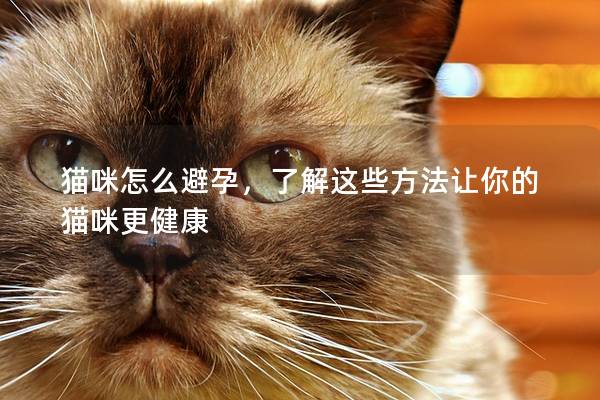 猫咪怎么避孕，了解这些方法让你的猫咪更健康