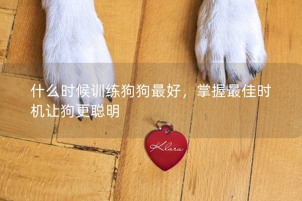 什么时候训练狗狗最好,掌握最佳时机让狗更聪明 什么时候训练狗狗最好,掌握最佳时机让狗更聪明