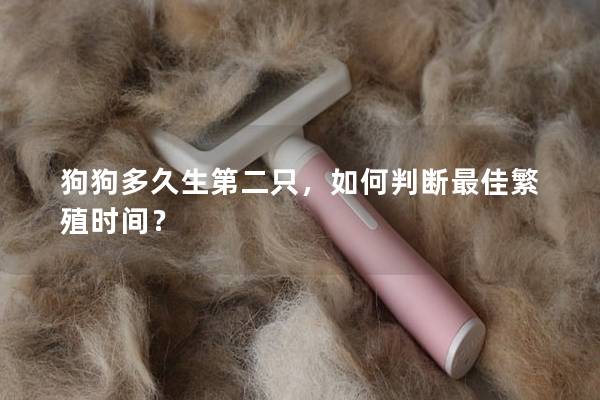 狗狗多久生第二只，如何判断最佳繁殖时间？