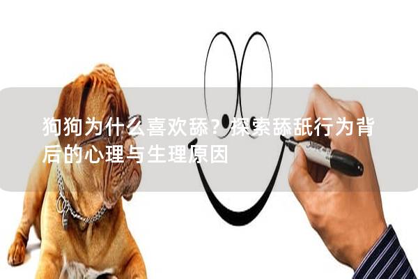 狗狗为什么喜欢舔？探索舔舐行为背后的心理与生理原因