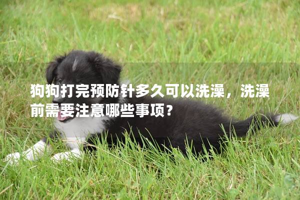 狗狗打完预防针多久可以洗澡，洗澡前需要注意哪些事项？