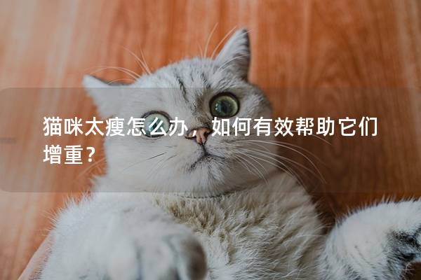 猫咪太瘦怎么办，如何有效帮助它们增重？