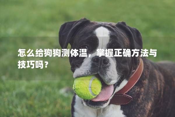 怎么给狗狗测体温，掌握正确方法与技巧吗？