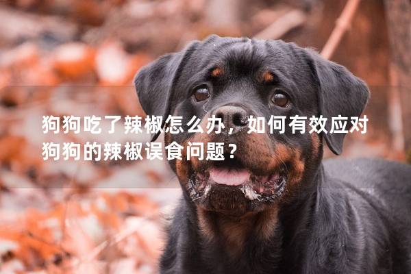 狗狗吃了辣椒怎么办，如何有效应对狗狗的辣椒误食问题？