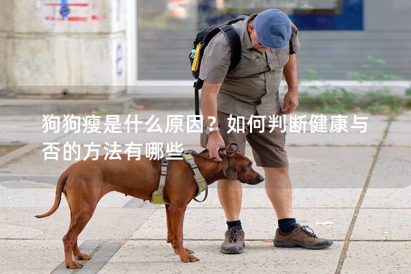 狗狗瘦是什么原因？如何判断健康与否的方法有哪些