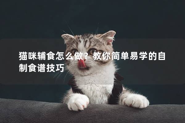 猫咪辅食怎么做？教你简单易学的自制食谱技巧