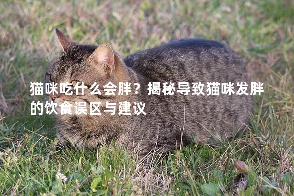 猫咪吃什么会胖？揭秘导致猫咪发胖的饮食误区与建议