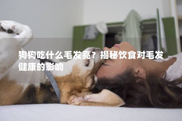 狗狗吃什么毛发亮？揭秘饮食对毛发健康的影响