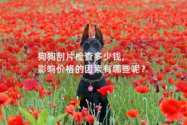 狗狗刮片检查多少钱, 影响价格的因素有哪些呢？