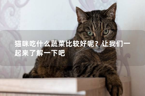 猫咪吃什么蔬菜比较好呢？让我们一起来了解一下吧