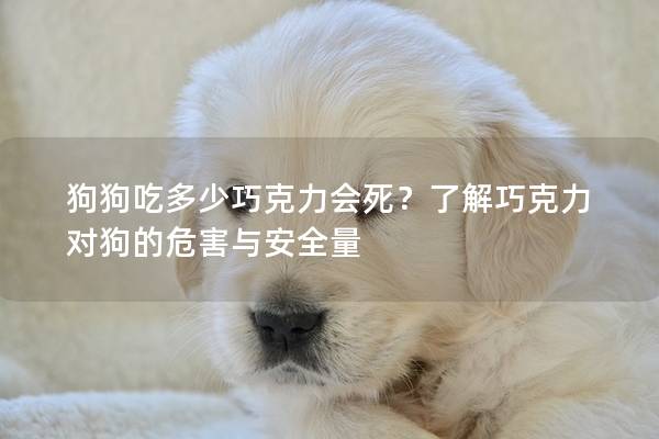 狗狗吃多少巧克力会死？了解巧克力对狗的危害与安全量