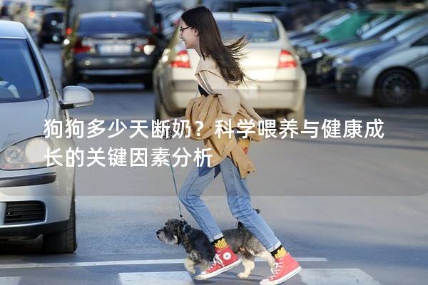 狗狗多少天断奶？科学喂养与健康成长的关键因素分析