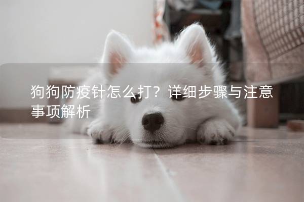 狗狗防疫针怎么打？详细步骤与注意事项解析