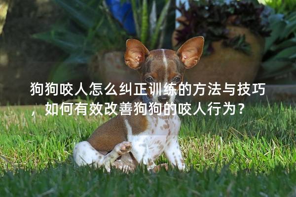 狗狗咬人怎么纠正训练的方法与技巧,如何有效改善狗狗的咬人行为? 狗狗咬人怎么纠正训练的方法与技巧,如何有效改善狗狗的咬人行为?