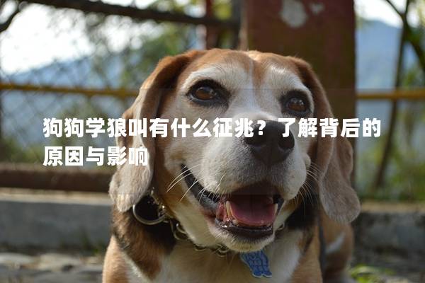 狗狗学狼叫有什么征兆？了解背后的原因与影响