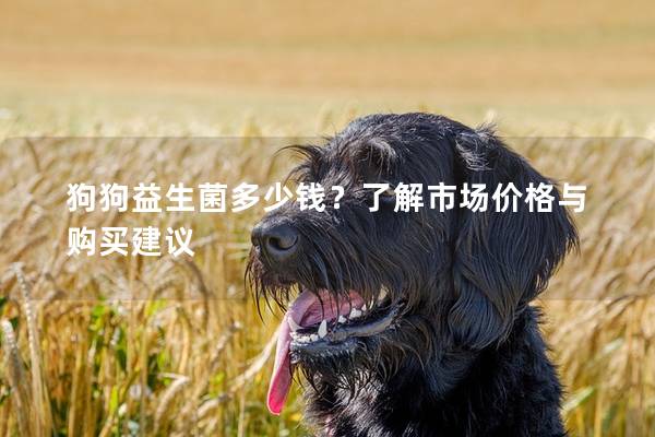 狗狗益生菌多少钱？了解市场价格与购买建议