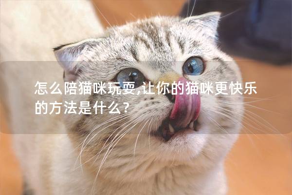 怎么陪猫咪玩耍,让你的猫咪更快乐的方法是什么？
