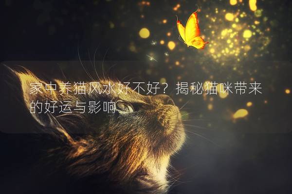 家中养猫风水好不好？揭秘猫咪带来的好运与影响