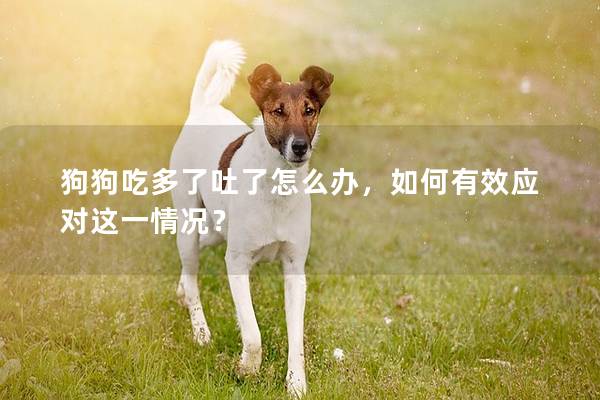 狗狗吃多了吐了怎么办，如何有效应对这一情况？