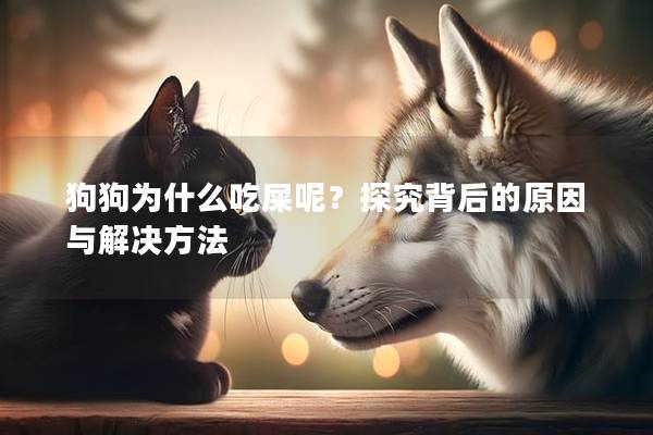 狗狗为什么吃屎呢?探究背后的原因与解决方法 狗狗为什么吃屎呢?探究背后的原因与解决方法