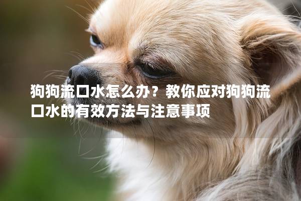 狗狗流口水怎么办？教你应对狗狗流口水的有效方法与注意事项