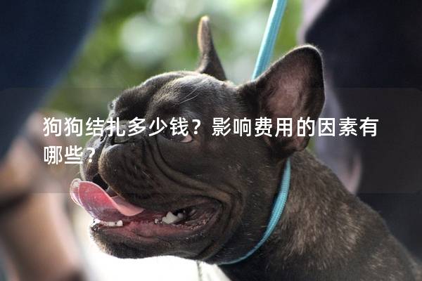 狗狗结扎多少钱？影响费用的因素有哪些？