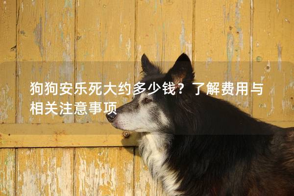 狗狗安乐死大约多少钱？了解费用与相关注意事项