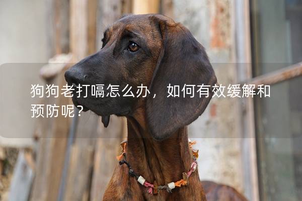 狗狗老打嗝怎么办，如何有效缓解和预防呢？