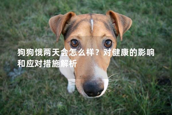 狗狗饿两天会怎么样？对健康的影响和应对措施解析