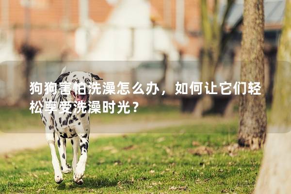 狗狗害怕洗澡怎么办，如何让它们轻松享受洗澡时光？