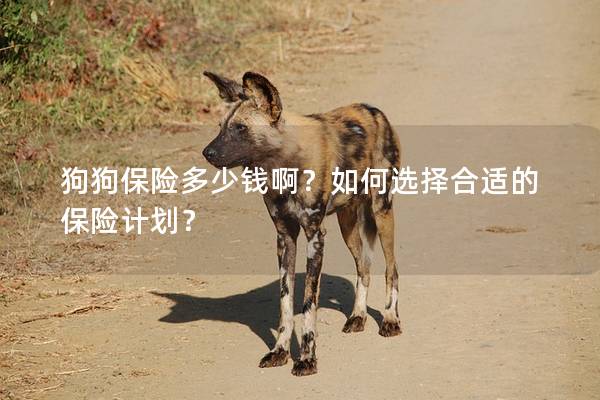 狗狗保险多少钱啊?如何选择合适的保险计划? 狗狗保险多少钱啊?如何选择合适的保险计划?