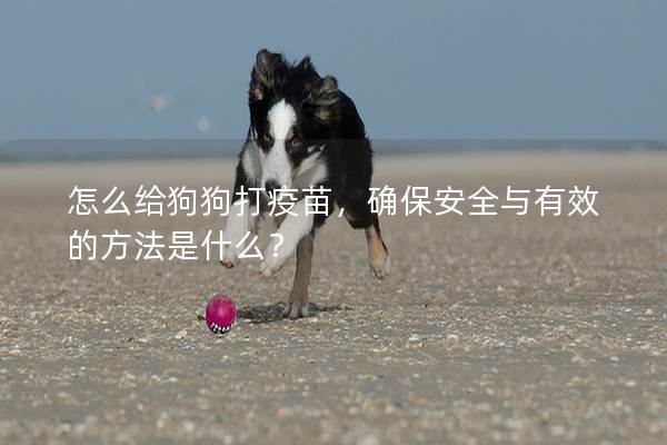怎么给狗狗打疫苗，确保安全与有效的方法是什么？