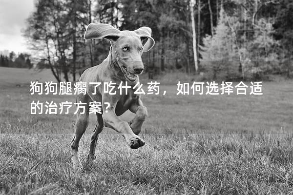 狗狗腿瘸了吃什么药,如何选择合适的治疗方案? 狗狗腿瘸了吃什么药,如何选择合适的治疗方案?